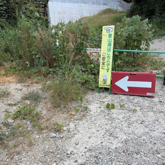 この矢印通り行くと登山道です