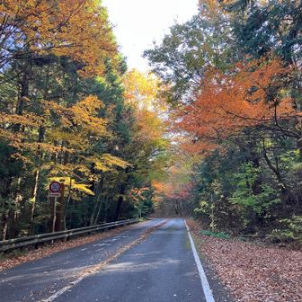 八木山に向かいます。