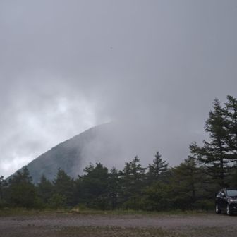 雨雲がやって来そうです…