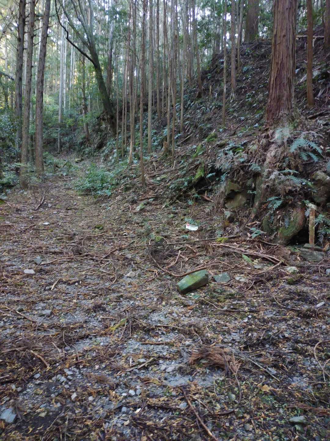 たまらん案内板