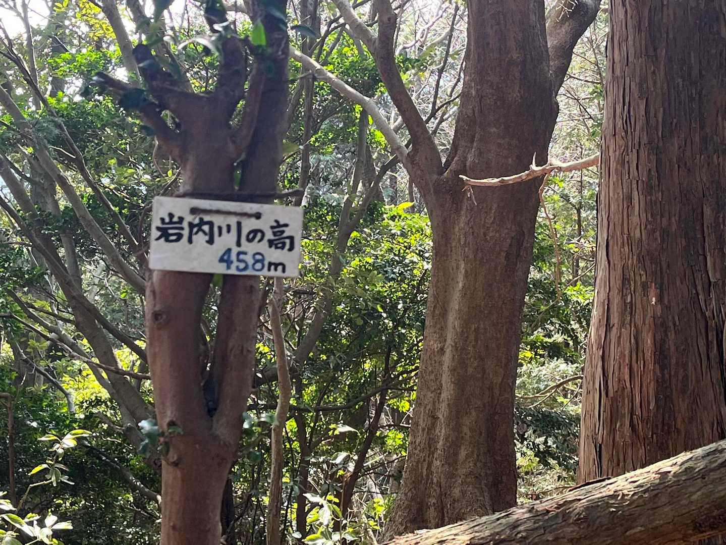 岩内川の高