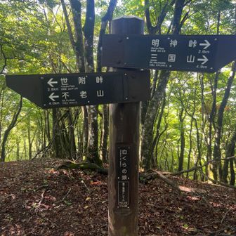 第2の目標！
しらくらの頭に到着！
さぁ、もどりま！す！⋯
が、すでにヘロヘロ〜😱