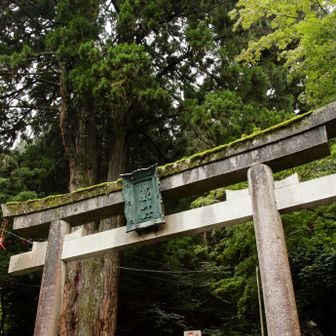 ケーブルカーではなく、参道から進みます。向かう人はほとんどいませんでした。