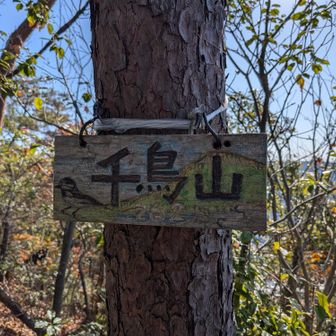 そのまま長良展望台側に進み千鳥山
チドリと思いきやセキレイの絵が描いてあります🤔