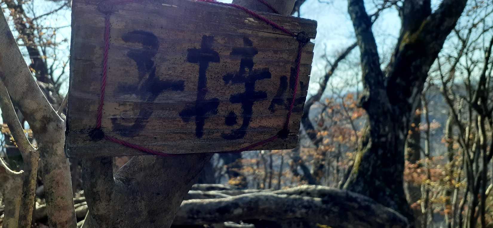 今日の唯一のピーク
と云っても熊野平の方が標高は高い