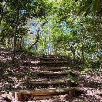 あと少しで“蒲生山”山頂到着🚶‍♀️…最後まで階段💦