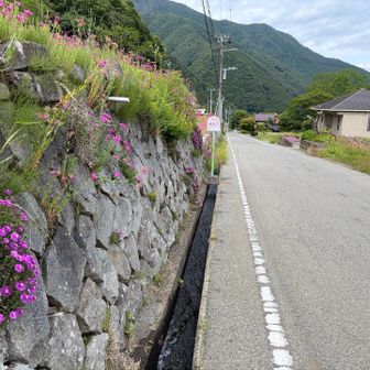 後は駅まで舗装路です