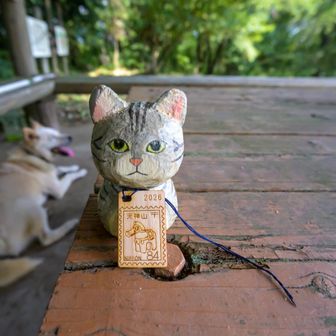 東家で休憩してたら飼い主のお父さん登場。

そして山頂だけすごく良い風吹いててお父さんと暫しお話ししている内にすっかり涼んで復活！
ワンコの名前はマミちゃん。
ほぼ毎日散歩に来ていて、この山のアイドル的存在になっているみたいです。

お父さんから天神山の木札いただきました！
マミちゃんファンの方が手作りしてくれて、お父さんがお会いした方に配っているそうです。