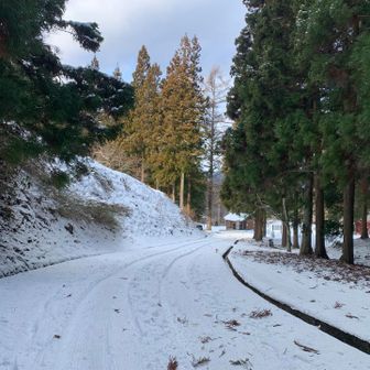お疲れ山でした^_^
ひとつお楽しみルートが増えました