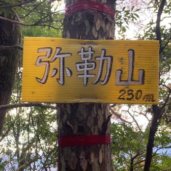 素敵なお山⛰️