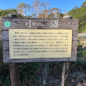 長七郎山目指してスタートです