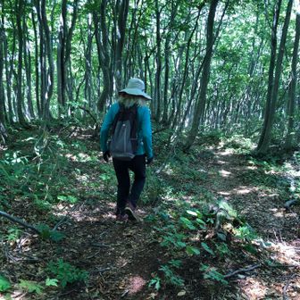 Ｓさんが用事があるそうで急いで下山。急いでるせいもあるけどＳさん健脚で早い‼️よいトレーニングになりました。