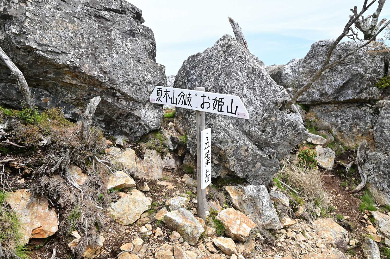 大吹登山口-五葉岳-兜巾岳 周回コースの写真