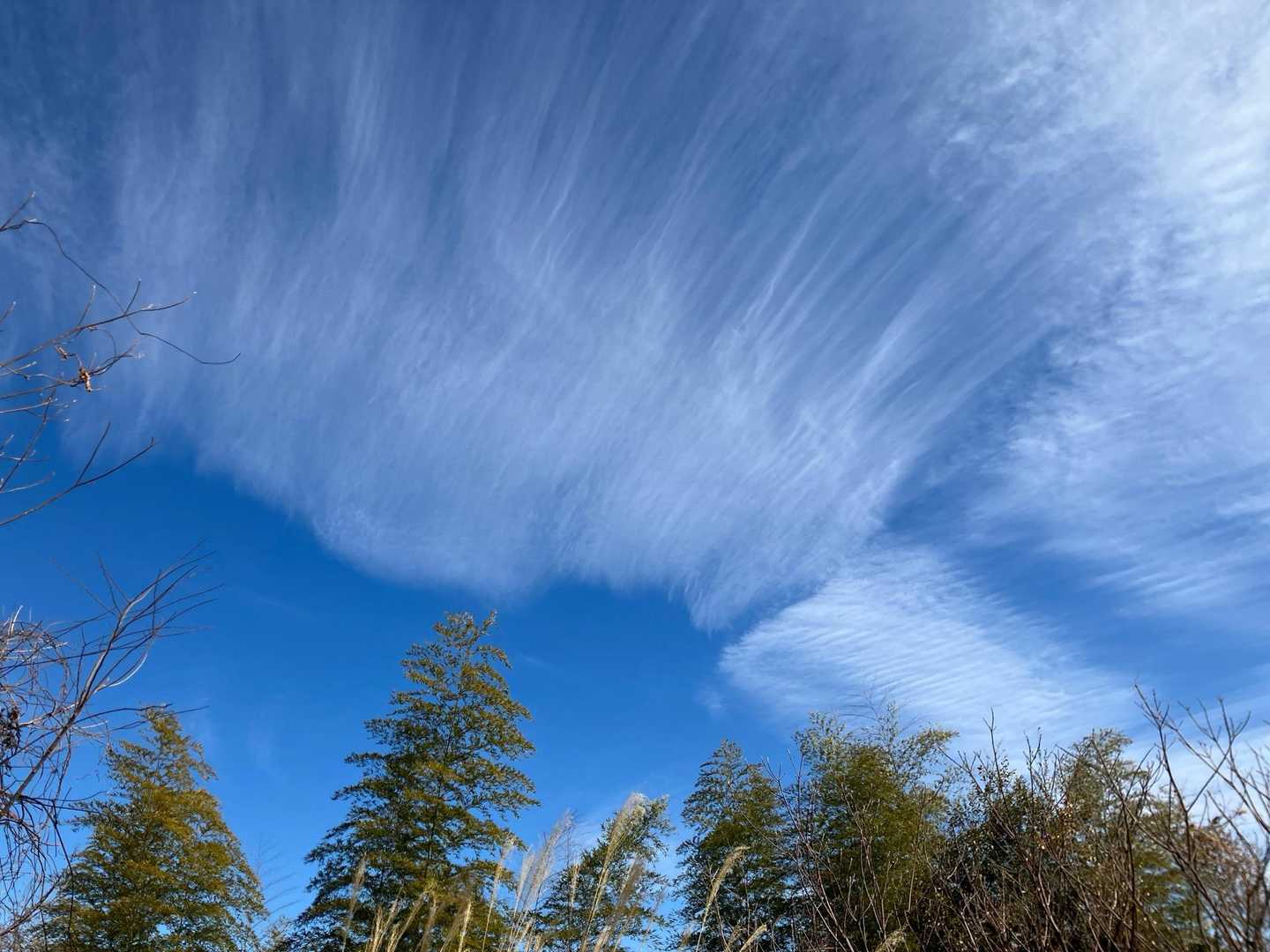 雲の形が凄い。強風🌪️のため？
