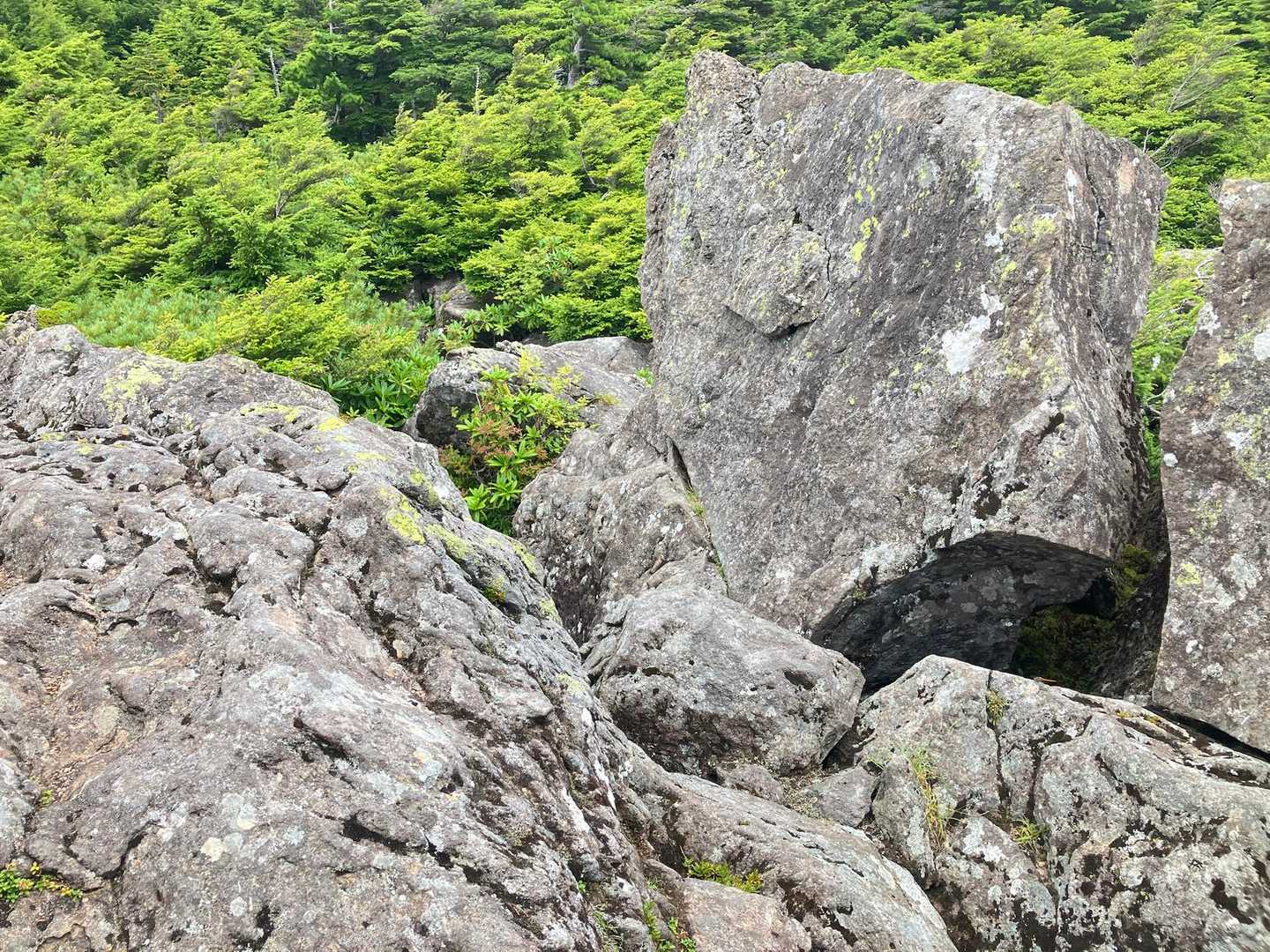 まだまだ岩が続きます
最初は楽しかったですが双子池付近では過酷さに涙ぐみます(_;´꒳`;):_
右ももが破壊されました