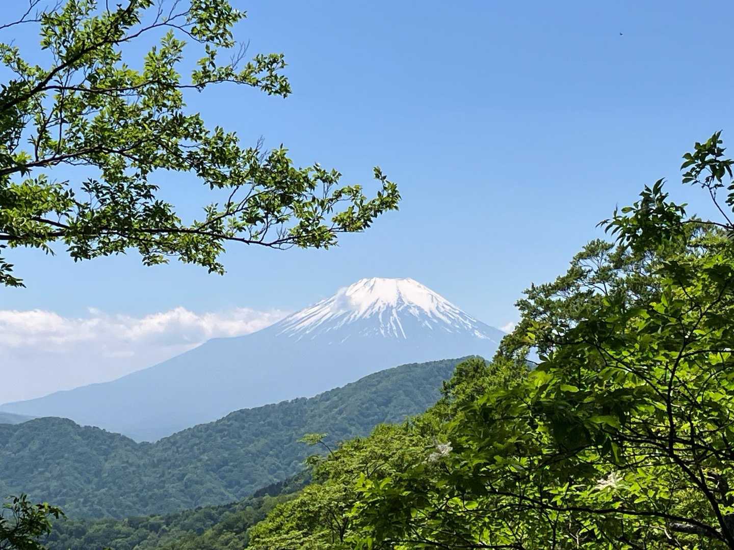 ここで富士山全体が見えました♪