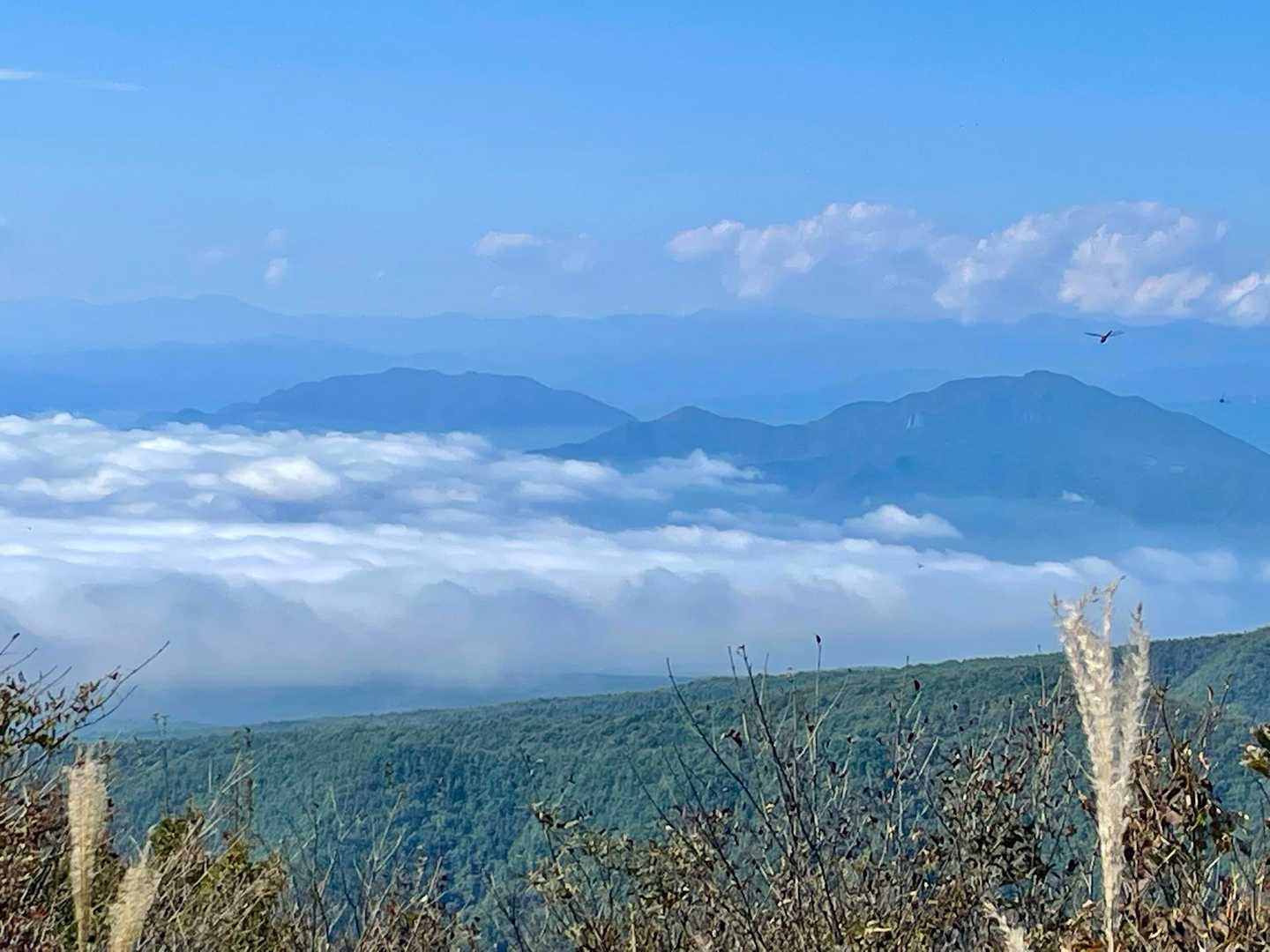 左も雲海すこーし
