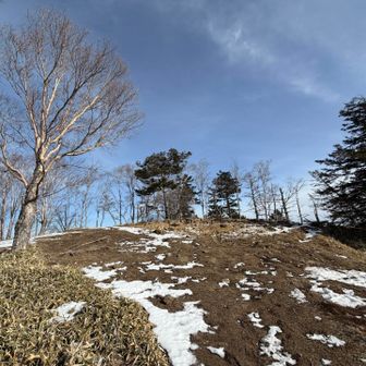 山頂はこんな感じです^o^