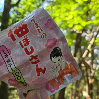 昭和生まれの梅ぼしさん
仁丹をちょっと大きくしたような丸い粒
しょっぱい～　口の中で結構長持ち