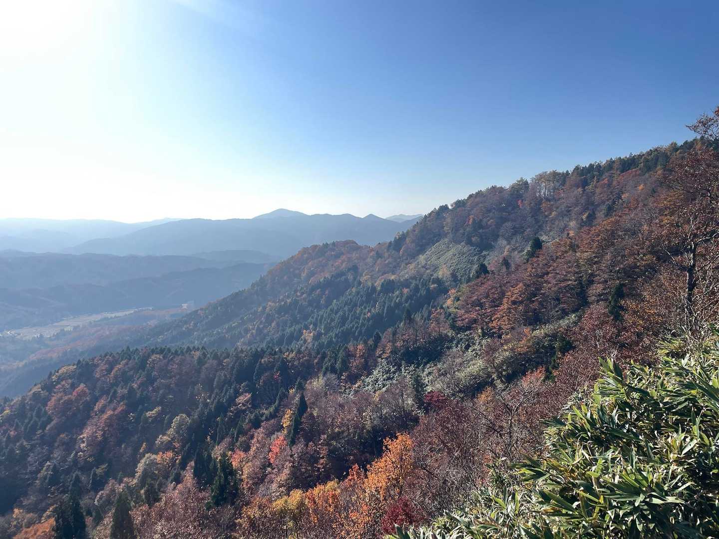 写真で伝わるかな
