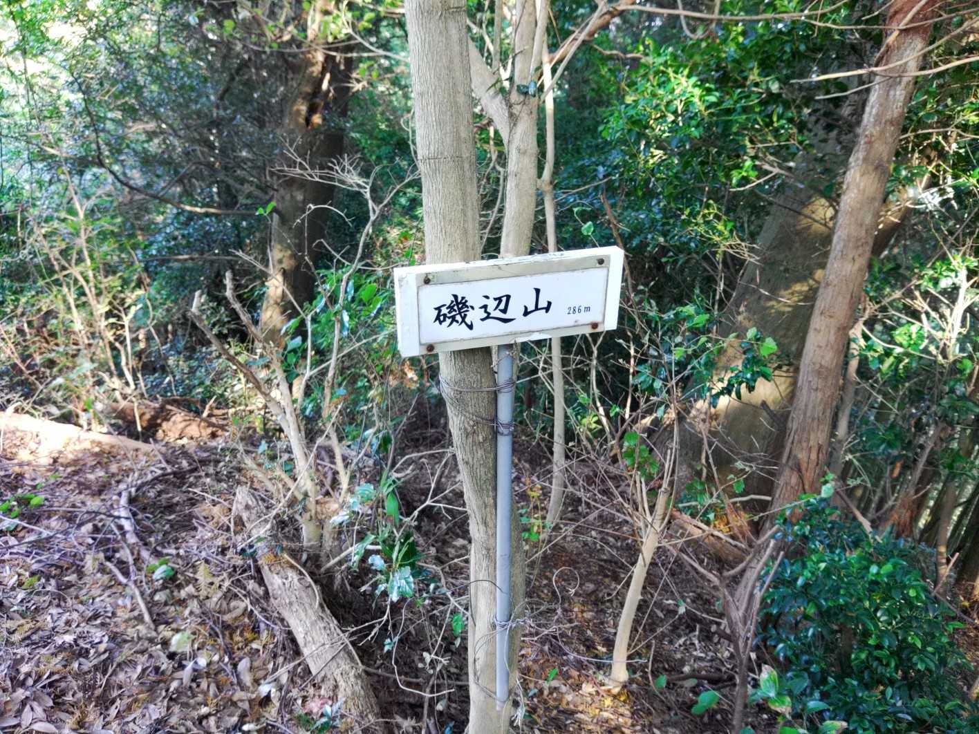 なかなかの 急坂を登り 山頂です