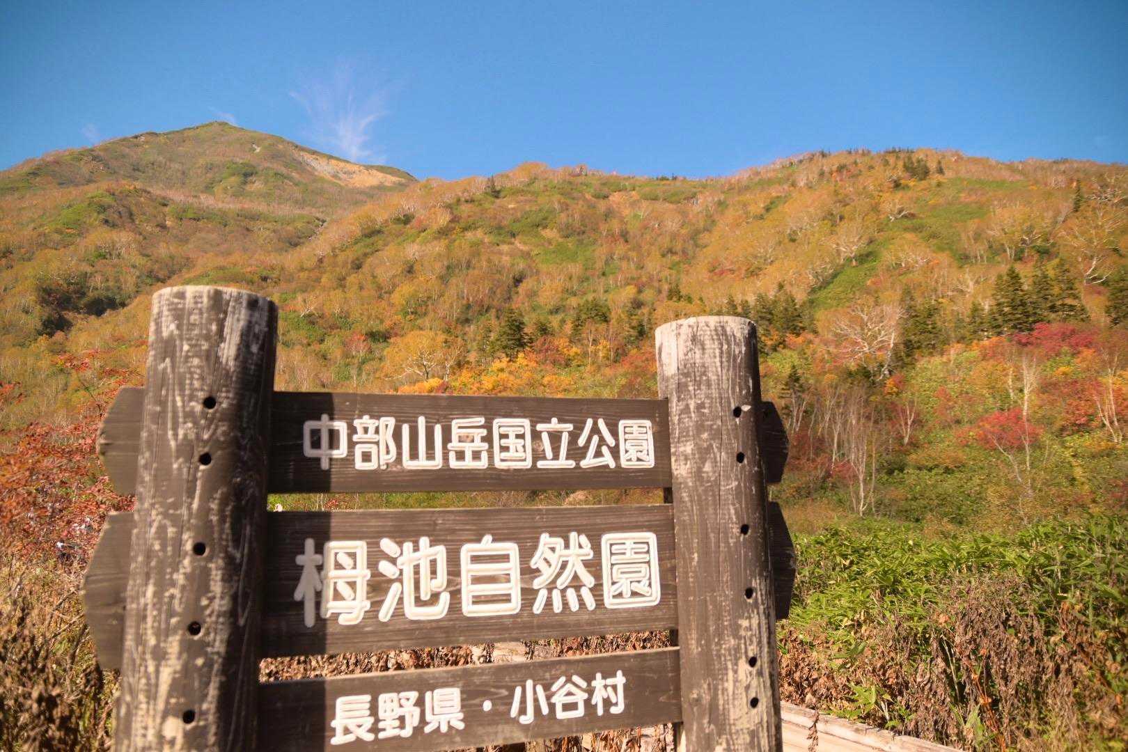栂池ロープウェイ 自然園駅-栂池自然園入口-風穴 周回コースの写真