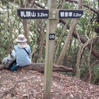 観音塚方面へ
女性ランチしてました🎵