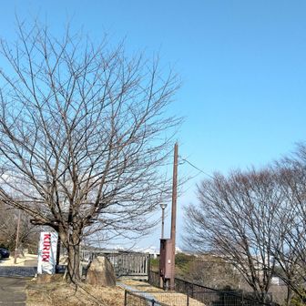 ココは滋賀県大津市☝️びわ湖の湖西にある『皇子が丘公園』☺️綺麗な公園です❗️
