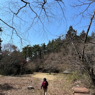 次は🌲「西音森山」へ向かいましょう^ ^
🐦‍⬛ウソの可愛いい💕鳴き声が囀り渡ります⤴️