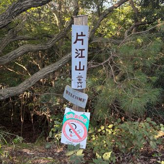 もうこの時点で汗だく😅
久々こんなに汗かいた笑