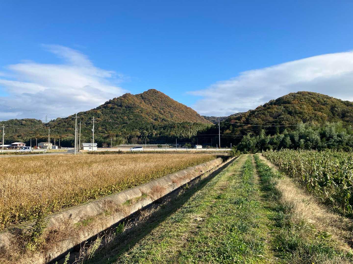 これから登る山々。紅葉してます♪