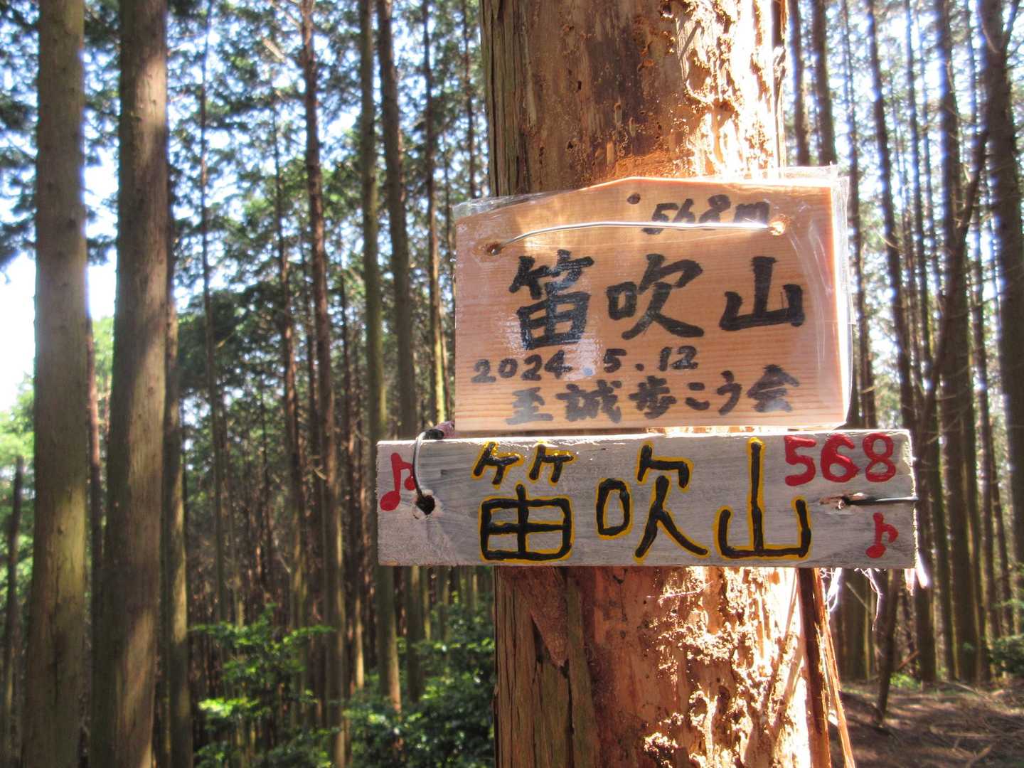 笛吹山 往復コースの写真