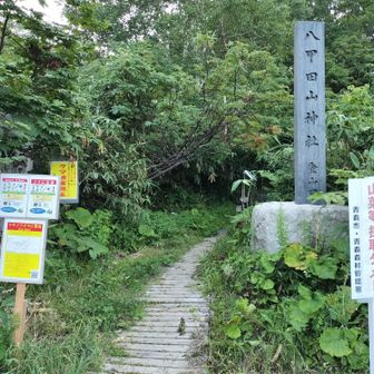登山口