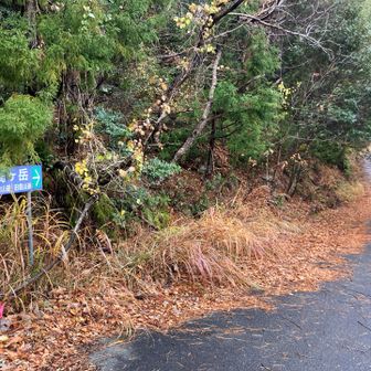 新旧登山道分岐