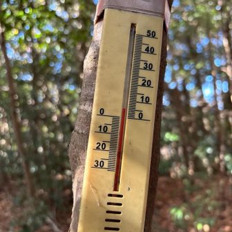 6度だって💦寒いよね((((；ﾟДﾟ))))
でも寒くない🤣