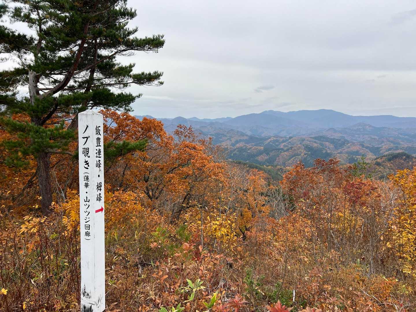 愛宕山-笹野山 往復コースの写真