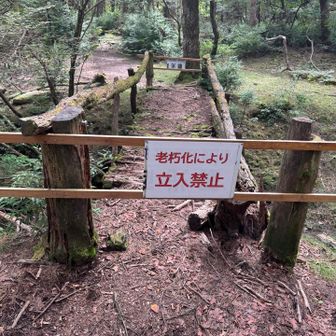 白鳥の森との分岐近くの橋、通行禁止になり、すぐそばに迂回路が作ってありました