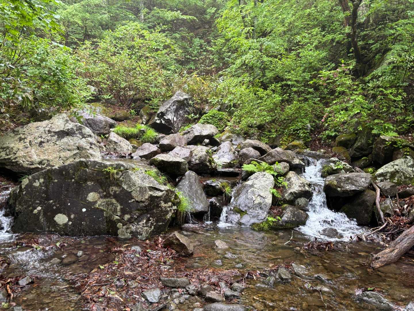 雨の日の水遊び😆
これからの暑い日は気持ち良さそうです♪