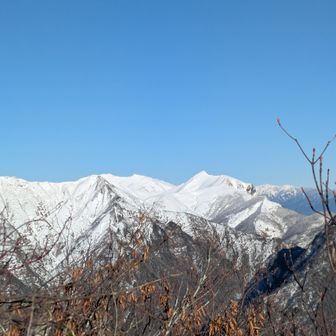 でたぁ～。目の前に谷川主稜だ～。ここからだと一番右にくるのは俎嵓なんですね。奥に谷川、手前に戻ってオジカ沢ノ頭と続きます。