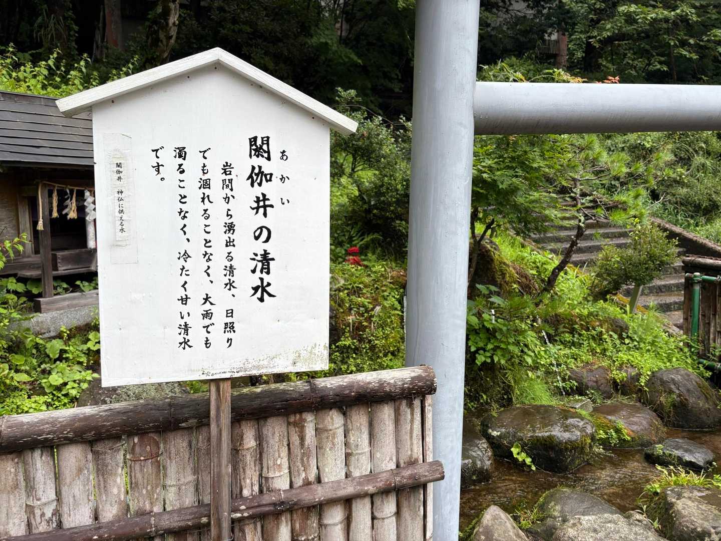 自己責任でお願いします