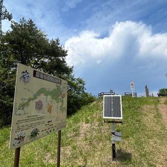 花の百名山🌼高鈴山　登頂
