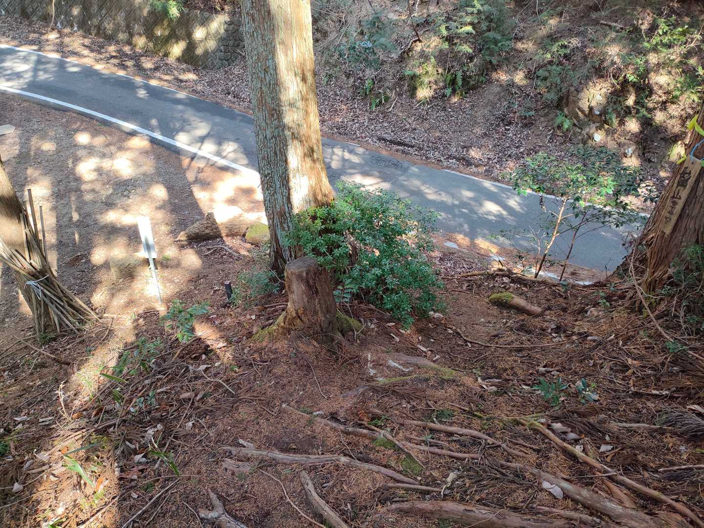 たった15分で登山口まで戻ってきました。
お気楽な山行でしたね。

これで津10山は4座目を攻略しました。

＼(^o^)／