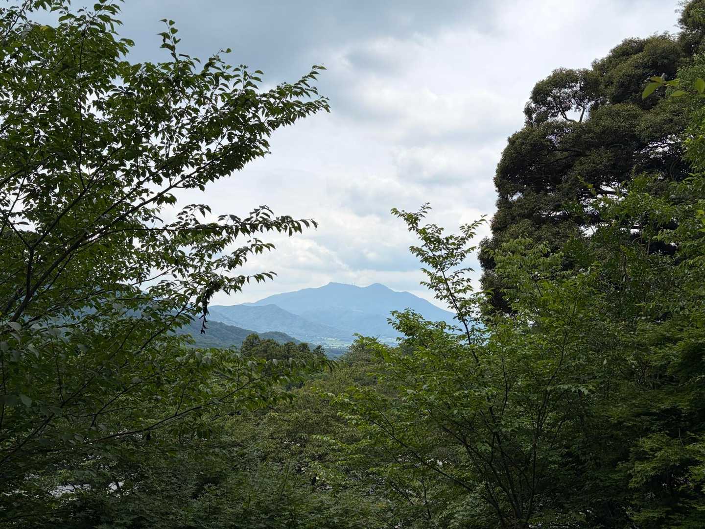 雨引観音-雨引山 往復コースの写真