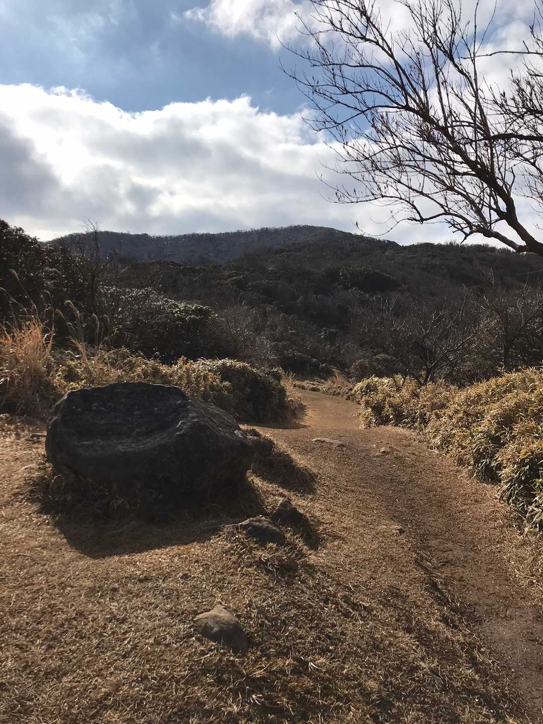 先ずは小達磨山から達磨山への縦走⛰