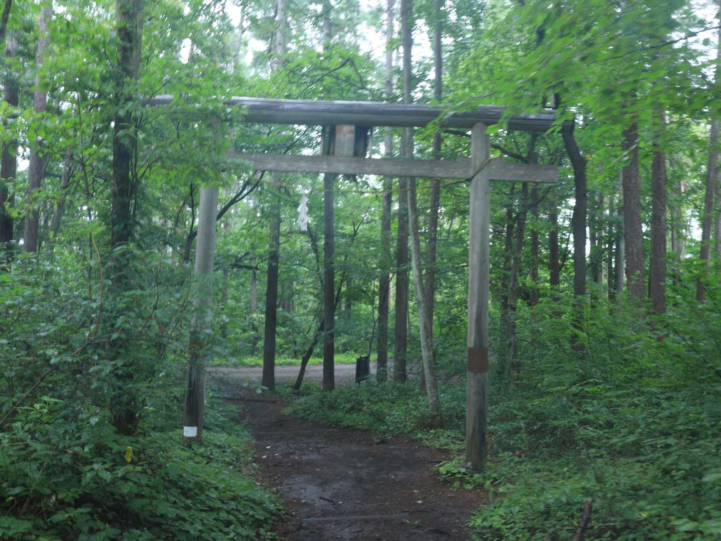 いいペースで下山。雨でボヤ〜😥