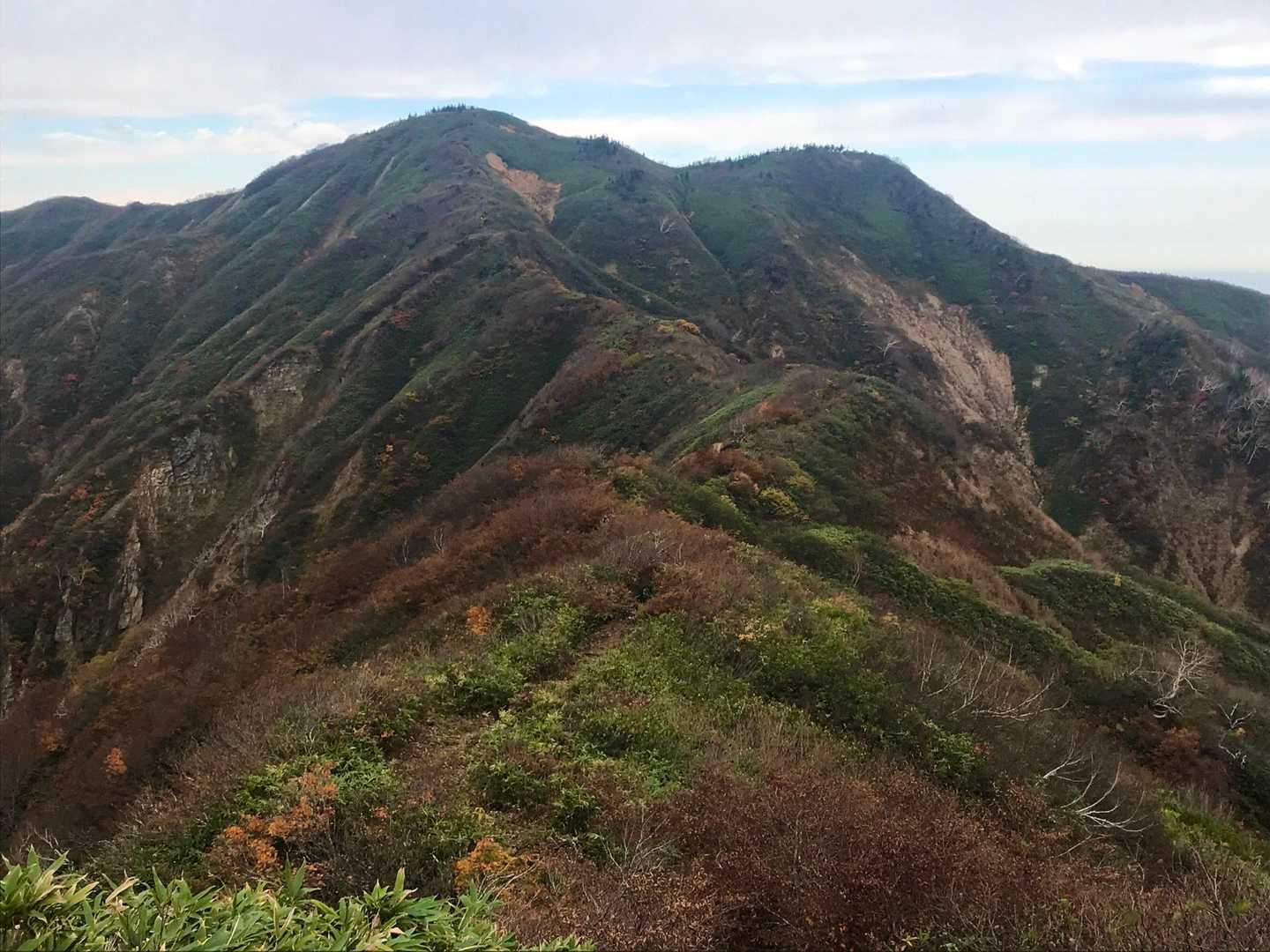 伊折山-成谷山 -僧ヶ岳-北駒ヶ岳-駒ヶ岳 往復コースの写真