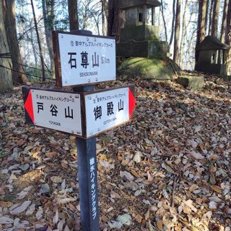 分かりやすい綺麗な標識で
ホントありがたいですね

戸谷山に向かいましょう