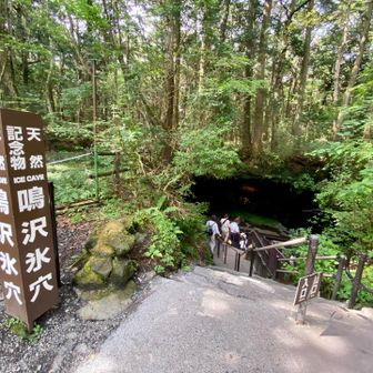 鳴沢氷穴へ