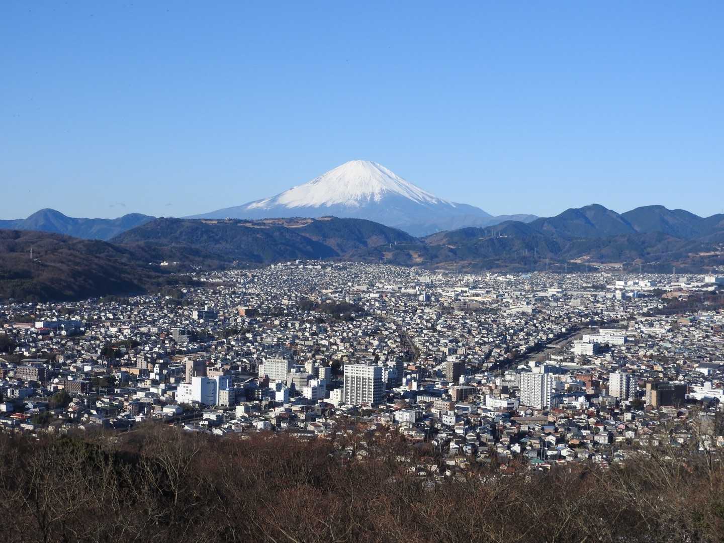 秦野駅-弘法山公園入口登山口-権現山-弘法山-善波峠-善波 縦走コースの写真