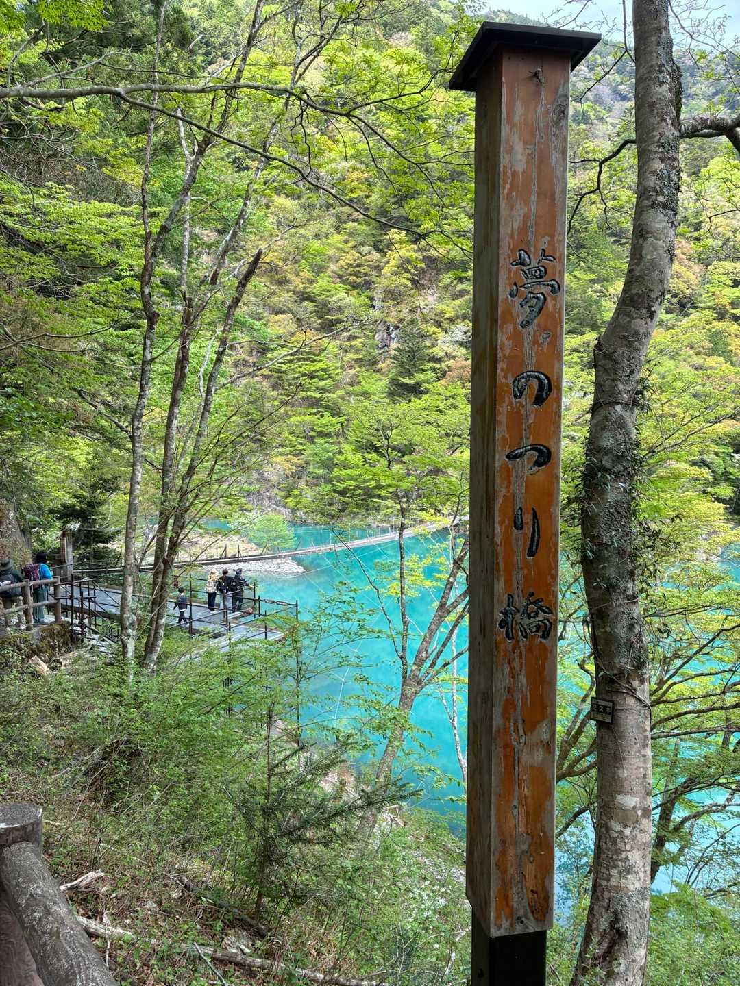 外森山登り口-寸又峡温泉入口バス停-公民館前バス停-外森山 周回コースの写真